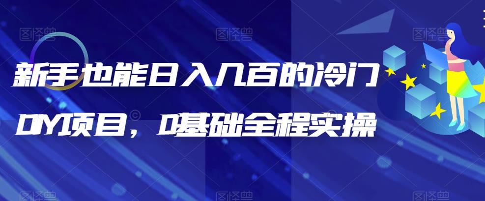 【百度网盘】新手也能日入几百的冷门DIY项目，0基础全程实操【揭秘】-无双资源网