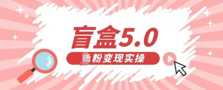 【百度网盘】盲盒交友5.0，男粉变现实操项目，亲测变现效果极好-无双资源网