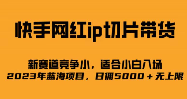 【百度网盘】快手网红ip切片新赛道，竞争小事，适合小白 2023蓝海项目-无双资源网