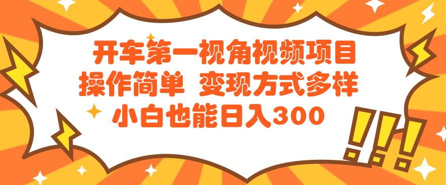 【百度网盘】开车第一视角视频项目操作简单变现方式多样小白也能日入300-无双资源网