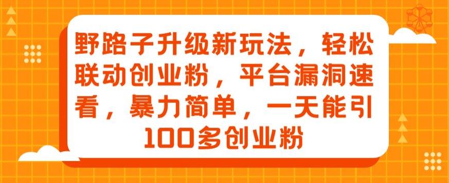 【百度网盘】野路子升级新玩法，轻松联动创业粉，平台漏洞速看，暴力简单，一天能引100多创业粉-无双资源网