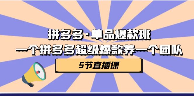 【百度网盘】拼多多·单品爆款班，一个拼多多超级爆款养一个团队（5节直播课）-无双资源网