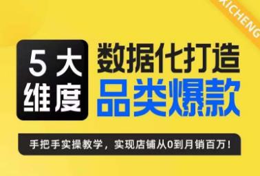 【百度网盘】5大维度，数据化打造电商品类爆款特训营，一套高效运营爆款方法论-无双资源网