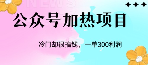 【百度网盘】冷门公众号加热项目，一单利润300+-无双资源网