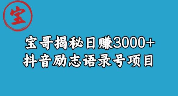 【百度网盘】宝哥揭秘日赚3000+抖音励志语录号短视频变现项目-无双资源网