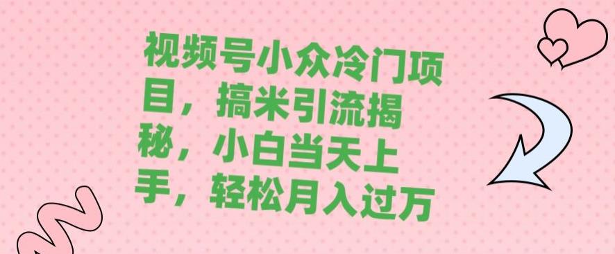 【百度网盘】视频号小众冷门项目，搞米引流揭秘，小白当天上手，轻松月入过万-无双资源网