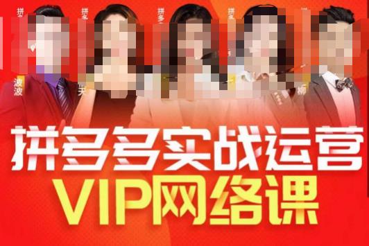 【百度网盘】推易拼多多VIP全套直播课程，拼多多店铺实操玩法+实战玩法选款内功+直通车高阶等-无双资源网