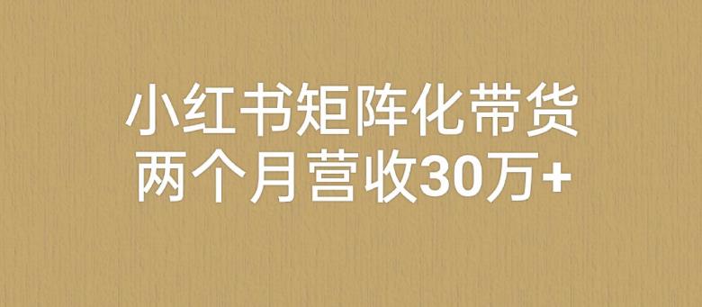 【百度网盘】小红书矩阵化带货，两个月营收30万+-无双资源网