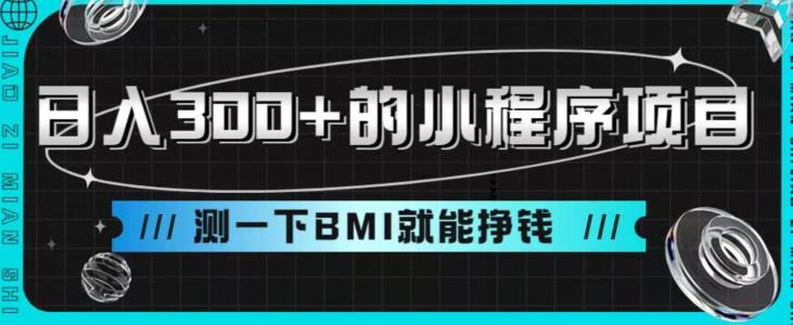 【百度网盘】日入300+的小程序项目，测一下BMI就能挣钱-无双资源网