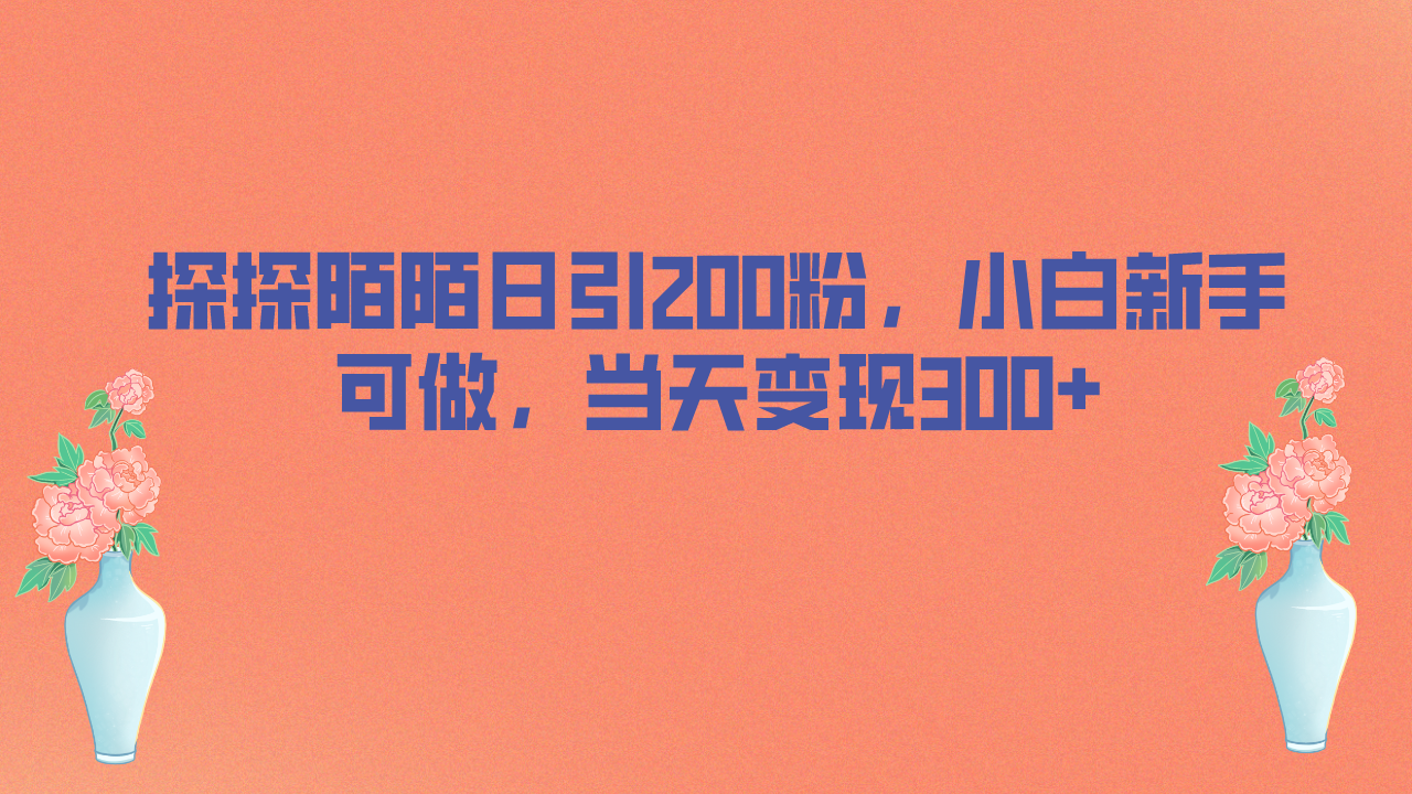 【百度网盘】探探陌陌日引200粉，小白新手可做，当天就能变现300+-无双资源网