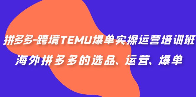 【百度网盘】拼多多-跨境TEMU爆单实操运营培训班，海外拼多多的选品、运营、爆单-无双资源网