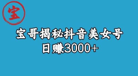 【百度网盘】宝哥揭秘抖音美女号玩法，日赚3000+-无双资源网