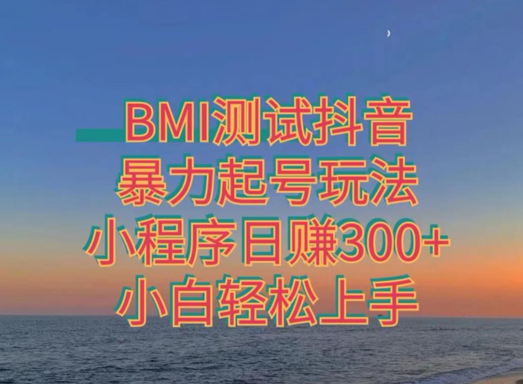 【百度网盘】神图抖音小程序项目4.0版引流，日入300+暴力玩法小白轻松上手-无双资源网