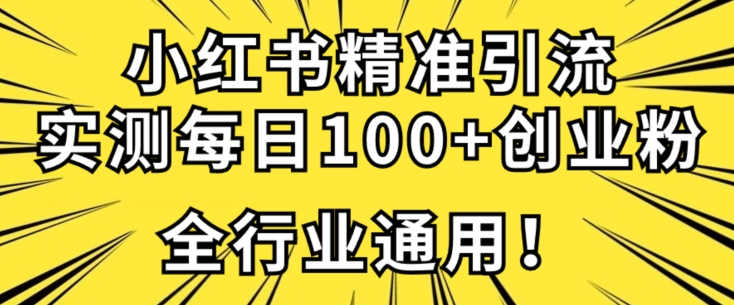 【百度网盘】小红书精准引流创业粉技术，实测一天引流100+精准粉，全行业可用-无双资源网