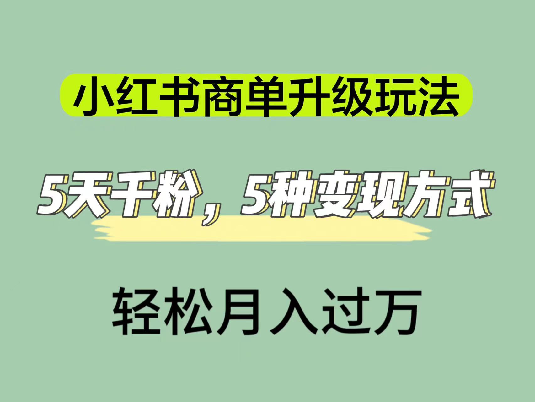 【百度网盘】小红书商单升级玩法，5天千粉，5种变现渠道，轻松月入1万+-无双资源网