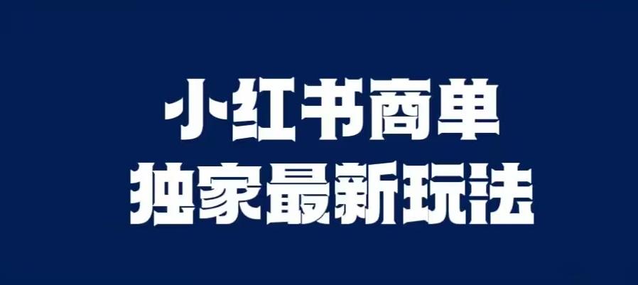 【百度网盘】小红书商单最新独家玩法，剪辑时间短，剪辑难度低，能批量做号-无双资源网