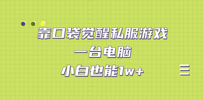 【百度网盘】靠口袋觉醒私服游戏，一台电脑，小白也能1w+（教程+工具+资料）-无双资源网