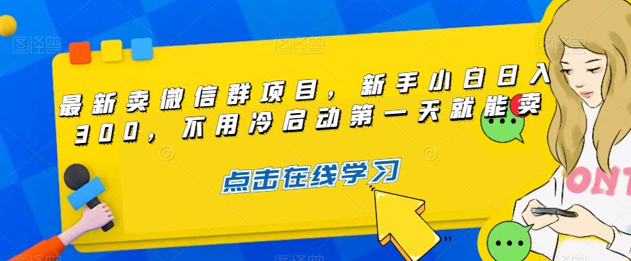 【百度网盘】最新卖微信群项目，新手小白日入300，不用冷启动第一天就能卖-无双资源网