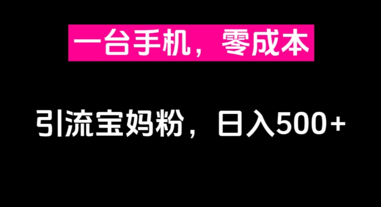 【百度网盘】一台手机，零成本引流宝妈粉，日入500+-无双资源网