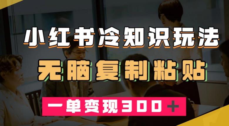 【百度网盘】小红书冷知识玩法，无脑复制粘贴，一单变现300＋-无双资源网