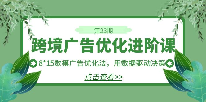 【百度网盘】跨境广告·优化进阶课·第23期，8*15数模广告优化法，用数据驱动决策-无双资源网