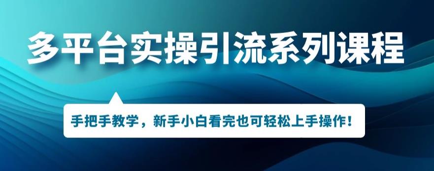 【百度网盘】多平台引流实操系列课程，新手小白看完也可轻松上手进行引流操作-无双资源网