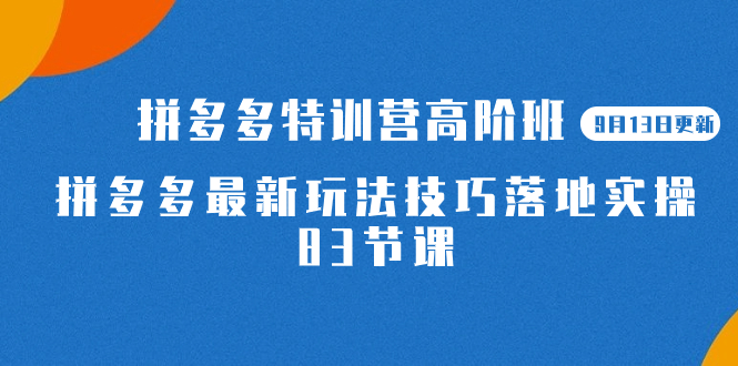 【百度网盘】2023拼多多·特训营高阶班【9月13日更新】拼多多最新玩法技巧落地实操-83节-无双资源网