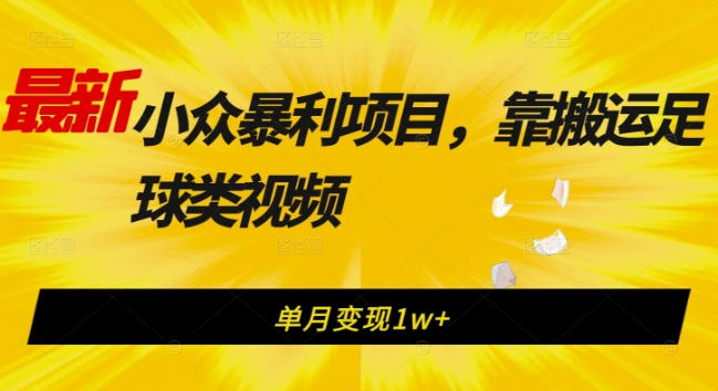 【百度网盘】最新小众暴利项目，靠搬运足球类视频，单月变现1w+-无双资源网