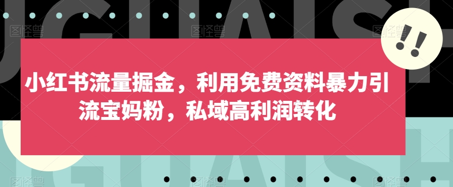 【百度网盘】小红书流量掘金，利用免费资料暴力引流宝妈粉，私域高利润转化-无双资源网