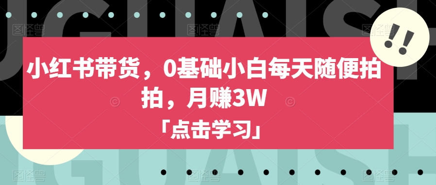 【百度网盘】小红书带货，0基础小白每天随便拍拍，月赚3W-无双资源网