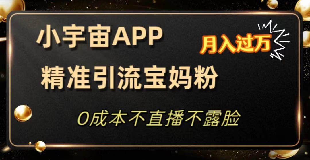 【百度网盘】冷门项目，小宇宙app，精准引流宝妈粉，结合私域轻松变现，月入过万-无双资源网