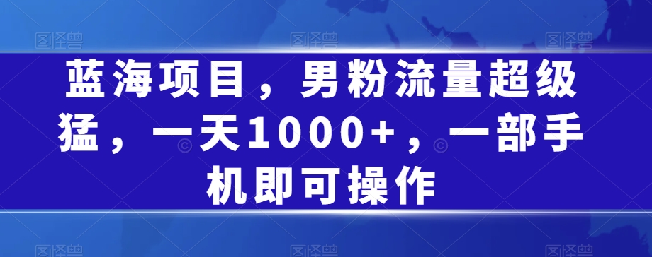 【百度网盘】蓝海项目，男粉流量超级猛，一天1000+，一部手机即可操作-无双资源网