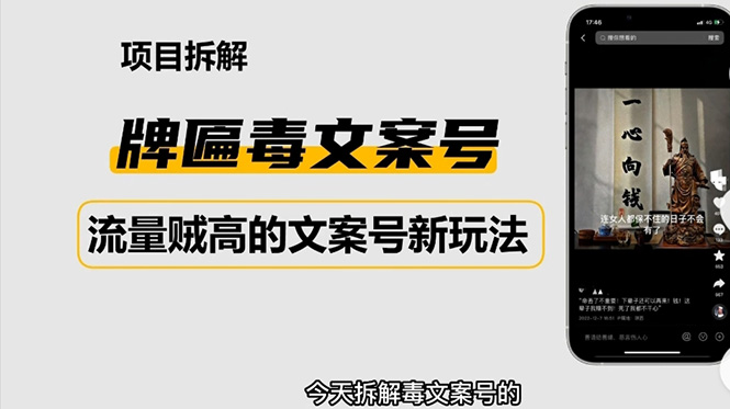 2023抖音快手毒文案新玩法，牌匾文案号，起号快易变现-无双资源网