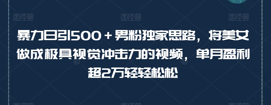 【百度网盘】暴力日引500＋男粉独家思路，将美女做成极具视觉冲击力的视频，单月盈利超2万轻轻松松-无双资源网