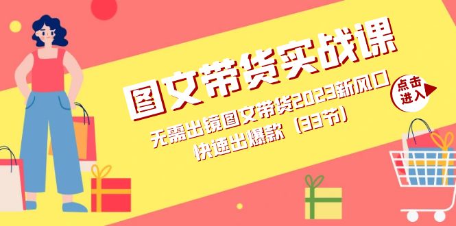 【百度网盘】图文带货实战课：无需出镜图文带货2023新风口，快速出爆款（33节）-无双资源网