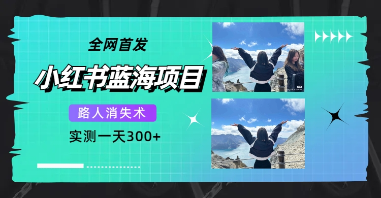 【夸克网盘】全网首发，小红书蓝海项目，路人消失术，实测一天300+（教程+工具）-无双资源网