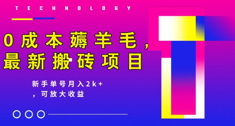 【百度网盘】0成本薅羊毛，最新搬砖项目，新手单号月入2k+，可放大操作-无双资源网