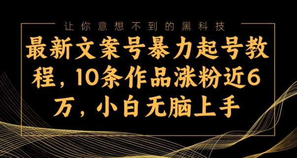 【百度网盘】最新文案号暴力起号教程，10条作品涨粉近6万，小白无脑上手-无双资源网