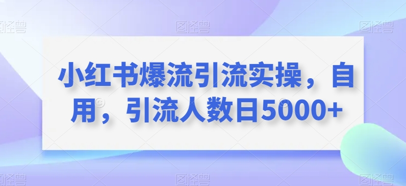 【百度网盘】小红书爆流引流实操，自用，引流人数日5000+-无双资源网