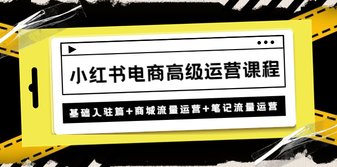 小红书电商高级运营课程：基础入驻篇+商城流量运营+笔记流量运营-无双资源网