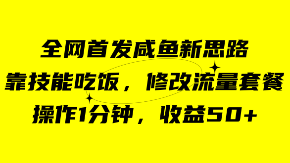 【百度网盘】咸鱼冷门新玩法，靠“技能吃饭”，修改流量套餐，操作1分钟，收益50+-无双资源网