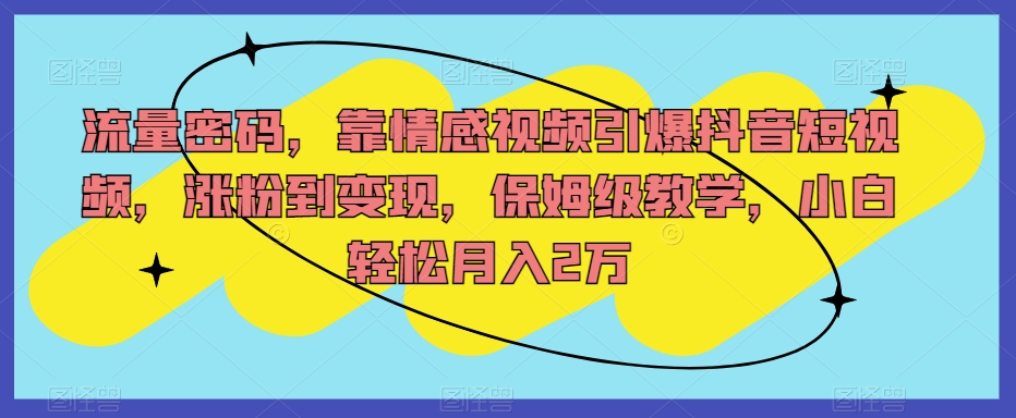 【百度网盘】流量密码，靠情感视频引爆抖音短视频，涨粉到变现，保姆级教学，小白轻松月入2万-无双资源网