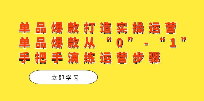 【百度网盘】单品爆款打造实操运营，单品爆款从“0”-“1”手把手演练运营步骤-无双资源网