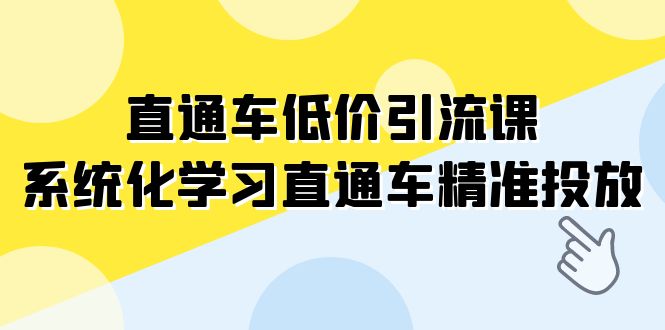 【百度网盘】直通车-低价引流课，系统化学习直通车精准投放（14节课）-无双资源网