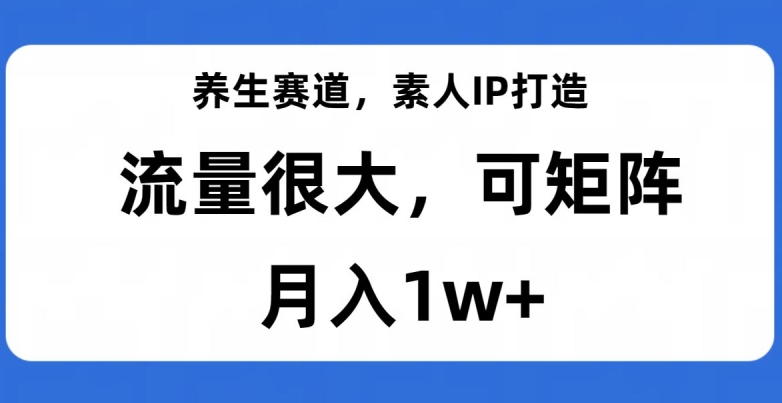 【夸克网盘】养生赛道，素人IP打造，流量很大，可矩阵，月入1w+【揭秘】-无双资源网