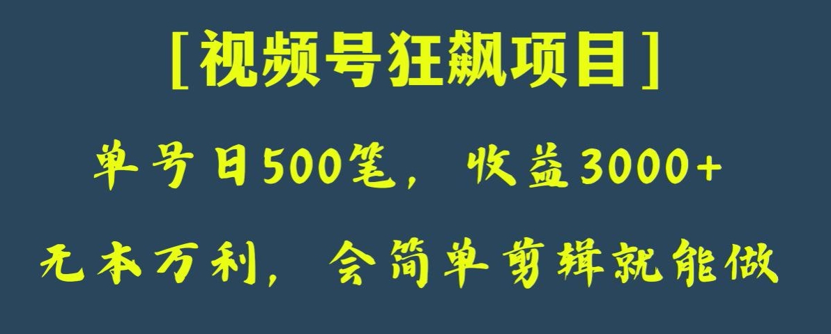 日收款500笔，纯利润3000+，视频号狂飙项目，会简单剪辑就能做【揭秘】-无双资源网