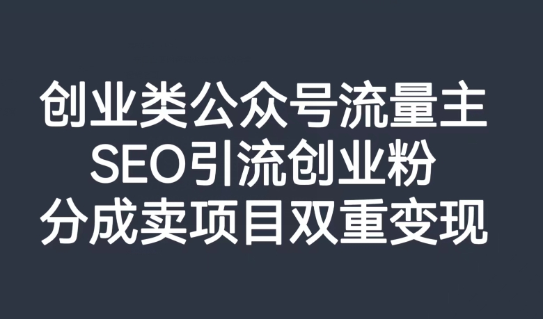 【百度网盘】创业类公众号流量主，SEO引流创业粉，分成卖项目双重变现【揭秘】-无双资源网