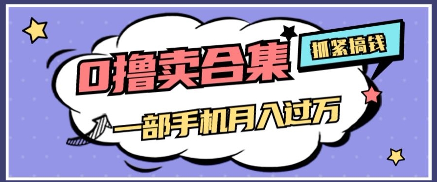 0撸项目月入过万，售卖全套ai工具合集，一单29.9元，一部手机即可【揭秘】-无双资源网