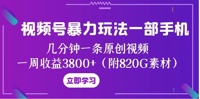 视频号暴力玩法一部手机 几分钟一条原创视频 一周收益3800+（附820G素材）-无双资源网