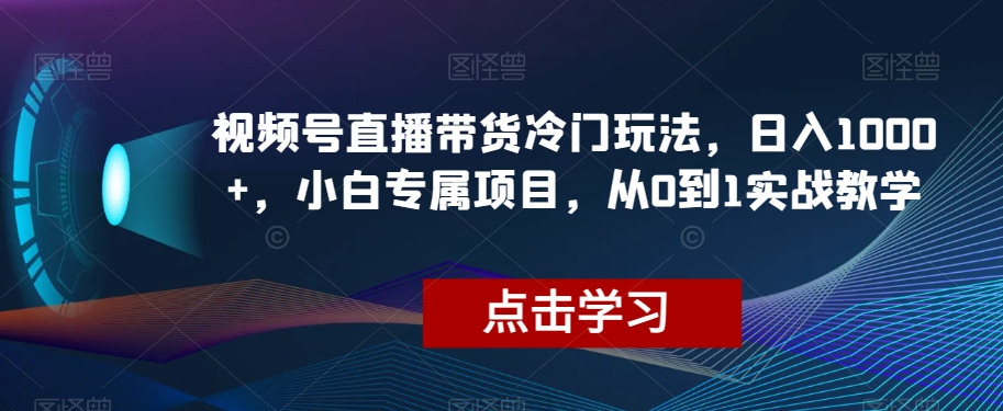 视频号直播带货冷门玩法，日入1000+，小白专属项目，从0到1实战教学【揭秘】-无双资源网